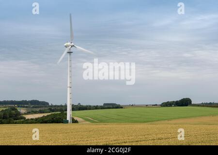 Feld der Weizen Reifung mit einer Windturbine unter der Ernte. North Yorkshire, Großbritannien. Stockfoto