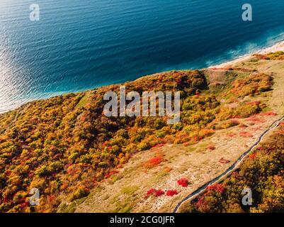 Luftaufnahme der felsigen Küste mit Wald und blauem Meer. Stockfoto