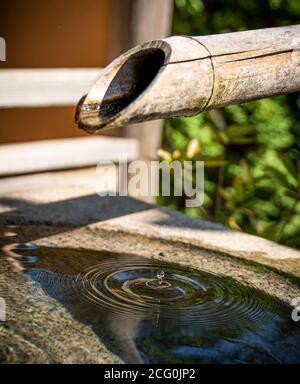 Wassertropfen und Wellen Stockfoto