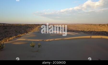 Düne einer Wüste in Indien Stockfoto