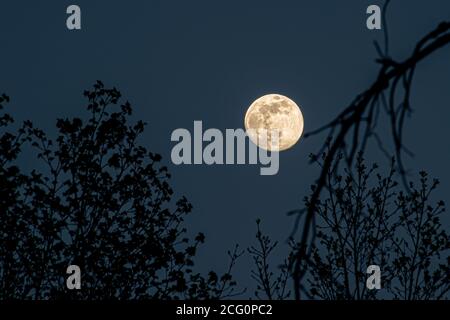 Unter Dem Mond Stockfoto