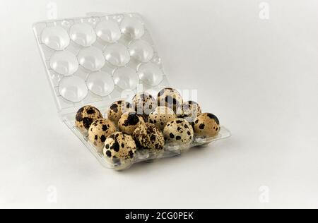 Wachteleier Ausrichtung in einer Kunststoffbox Stockfoto