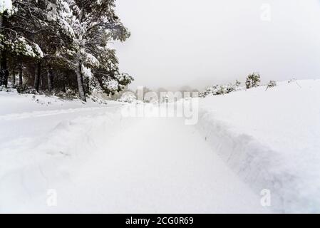 Spuren eines Traktorreifens auf verschneiten Asphalt auf einer Straße im Winter. Stockfoto