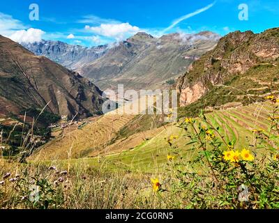 Wunderbare peruanische Natur. Heiliges Tal der inkas. Sommer im Urubamba Tal. Atemberaubende Berglandschaft der Anden. Landschaftlich schöne grüne Grasterrasse Andenes Stockfoto