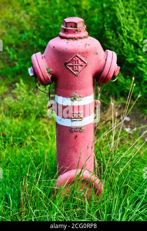 Wasserhydrant am Rand einer Wiese Stockfoto