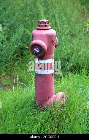 Wasserhydrant am Rand einer Wiese Stockfoto