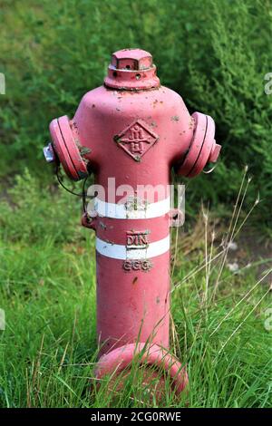 Wasserhydrant am Rand einer Wiese Stockfoto