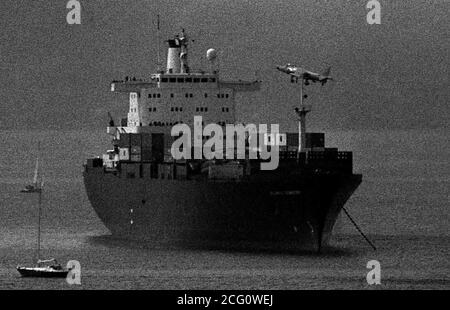 AJAXNETPHOTO. APRIL 1982. PLYMOUTH, ENGLAND. - LANDUNG AUF - EIN HARRIER PROBELAUF LANDUNG AUF DEM HAUPTDECK DES CONTAINERSCHIFFES ATLANTIC CONVEYOR. DAS SCHIFF FUHR IN DEN SÜDATLANTIK, UM BRITISCHE STREITKRÄFTE WÄHREND DES FALKLAND-ISLANDS-KONFLIKTS ZU UNTERSTÜTZEN UND WURDE VON FEINDLICHEN AKTIONEN VERSENKT.FOTO:TONY CARNEY/AJAX NEWS & FEATURE SERVICE REF:1982 124 2 Stockfoto