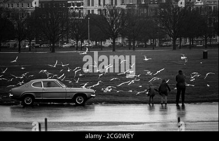 AJAXNETPHOTO. 1974. SOUTHSEA, ENGLAND. - MÖWEN FÜTTERN - AUF DER SÜDSEE AN EINEM NASSEN HERBSTNACHMITTAG.FOTO:JONATHAN EASTLAND/AJAX REF:7406 8 36 Stockfoto