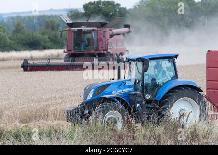 Mähdrescher schneiden Weizen. Hayling Island, Hampshire Großbritannien Stockfoto