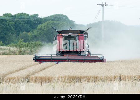 Mähdrescher schneiden Weizen. Hayling Island, Hampshire Großbritannien Stockfoto