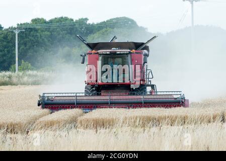 Mähdrescher schneiden Weizen. Hayling Island, Hampshire Großbritannien Stockfoto