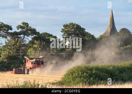 Mähdrescher schneiden Weizen. Hayling Island, Hampshire Großbritannien Stockfoto