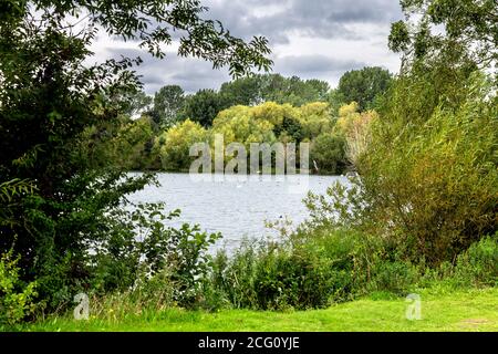 Bury Lake in der Nähe von Rickmansworth, auf der C61-Radroute, London, Großbritannien Stockfoto