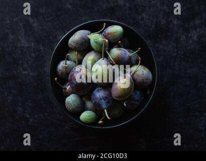 Oben Aufnahme einer Schüssel mit frischen Pflaumen vor schwarzem Hintergrund. Stockfoto
