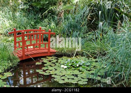 Saint Cyr en Talmondais, Frankreich. August 2020. Japanische Brücke und Seerose im Parc Floral et Tropical de la Court d'Aron Stockfoto