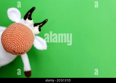 Weißer gestrickter Spielzeugbulle auf grünem Hintergrund, Neujahrsgrusskarte mit freiem Platz für Text. Chinesisches Jahr der Bulle, Sternzeichen 2021 Stockfoto
