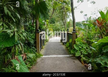 Der Bürgersteig durch einen Garten in einem botanischen Garten in Florida. Stockfoto