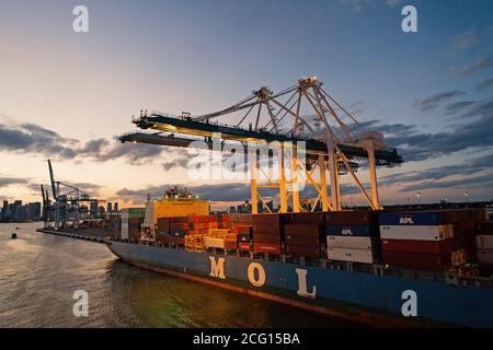 Miami, USA - 01. März 2016: Containerschiff MOL. Frachtschiff im Abendhafen. Schiff und Kraniche am Abendhimmel. Seefracht. Seeverkehr und Transport. Stockfoto