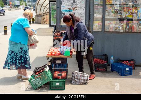 Zigeunerfrau Verkäuferin von Straßen, die Tomaten durch improvisierten Stall auf dem Bürgersteig an der belebten Bushaltestelle in Sofia Bulgarien als illegalen Handel mit städtischen Umwelt verkauft Stockfoto