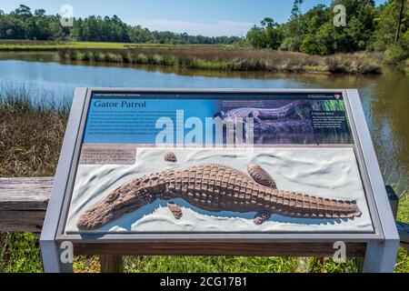 Davis Bayou, Gulf Islands National Seashore, Alligator Informationsschild am Rand von Bayou, Mississippi, USA Stockfoto