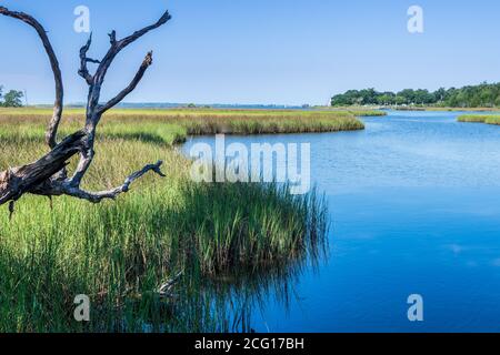 Davis Bayou, Gulf Islands National Seashore in der Nähe von Ocean Springs, Mississippi. Stockfoto