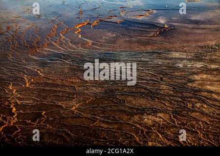 Yellowstone's Geysire und Thermal Vents Stockfoto