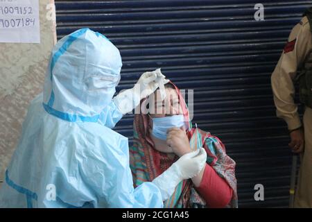 Srinagar, Indien. September 2020. Ein Gesundheitsbeauftragter, der Tupfer von einer Frau in Srinagar nimmt. Der schnelle Antigentest von Ladenbesitzern und Verkäuferinnen wurde in mehreren Märkten der Stadt Srinagar durchgeführt. Indiens Coronavirus-Tally übertraf Brasilien, da Indien derzeit die zweithöchste Zahl an bestätigten positiven Fällen weltweit hat. (Foto von Muhammad Manan/Pacific Press) Quelle: Pacific Press Media Production Corp./Alamy Live News Stockfoto