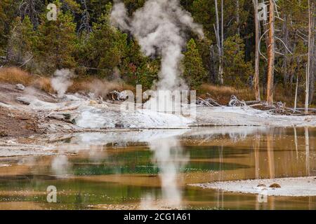 Yellowstone's Geysire und Thermal Vents Stockfoto