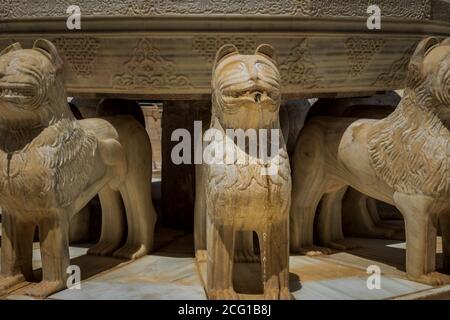 Detail Schnitzereien des Patio der Löwen im Alhambra Palast Granada, Spanien Stockfoto