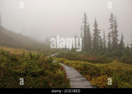 Ein nebliger, regnerischer Herbsttag auf dem Bagley Lakes Trail in Mt. Baker National Forest in Washington. Stockfoto