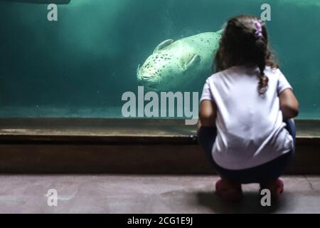 Sao Paulo, Brasilien. September 2020. Ein Mädchen besucht das Aquarium von Sao Paulo, das am vergangenen Samstag nach sechs Monaten Schließung aufgrund der COVID-19-Ausbruchsbeschränkungen in Sao Paulo, Brasilien, am 8. September 2020 wiedereröffnet wurde. Quelle: Rahel Patrasso/Xinhua/Alamy Live News Stockfoto