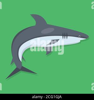 Shark-Vektor-Illustration in flacher Form Stock Vektor