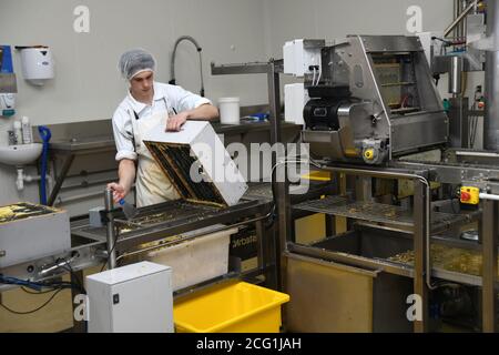 GREYMOUTH, NEUSEELAND, 10. DEZEMBER 2019: Ein Arbeiter reinigt Bienenboxen von der Wabe, bevor er die Rahmen trennt, um durch den Abzieher zu gehen. Stockfoto