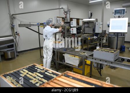 GREYMOUTH, NEUSEELAND, 10. DEZEMBER 2019: Ein Arbeiter füttert Rahmen von den Bienenstöcken durch den Extraktor. Stockfoto