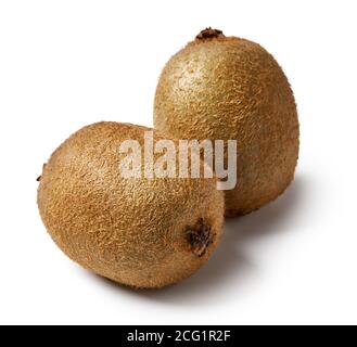 Zwei Kiwi-Früchte isoliert auf weißem Hintergrund. Ganze Kiwi. Stockfoto