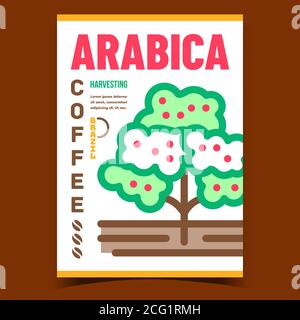Arabica Kaffee Kreative Werbung Banner Vektor Stock Vektor