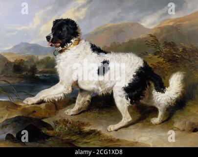 Landseer Sir Edwin Henry - Löwe ein Neufundländer Hund - British School - 19. Jahrhundert Stockfoto