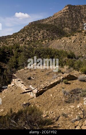 Die Geisterstadt Sego wurde 1910 als Kohlebergbaustadt in Sego Canyon, Utah, gegründet, um der Eisenbahn in Thompson Springs, fünf Meilen (8 km), Kohle zu liefern Stockfoto