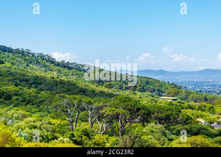 Panoramablick auf Kapstadt vom Kirstenbosch National Botanical Garden in Südafrika. Stockfoto
