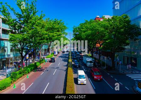 Ein Stadtbild in der Omotesando Avenue in Tokyo Tagesansicht Stockfoto