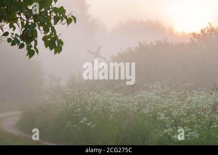 Landschaft Sandstraße und alte hölzerne schiefe Kreuzung zwischen hoch Grünes Gras und Bäume im dichten Nebel bei Sonnenaufgang Stockfoto