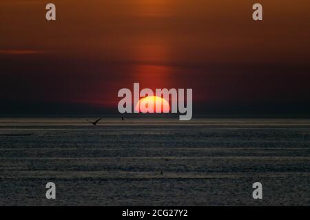 Wunderschöner Sonnenuntergang in einer dunklen Umgebung Stockfoto