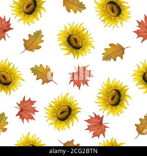 Sonnenblume und Herbstblätter nahtlose Muster, Aquarell Herbst Illustration für Hintergründe, Stoff oder Verpackung, Herbst botanischen Design Stockfoto