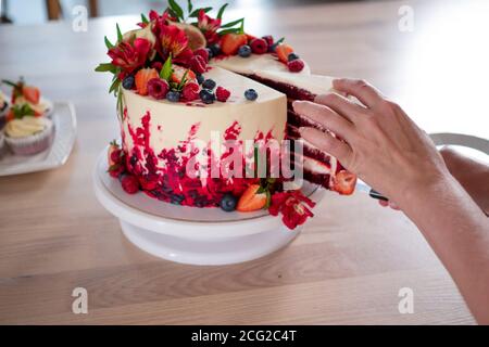 Große schöne rote Samtkuchen, mit Blumen und Beeren auf der Oberseite. Schneiden Sie eine Portion ab, die Hände der Frauen aus nächster Nähe. Stockfoto