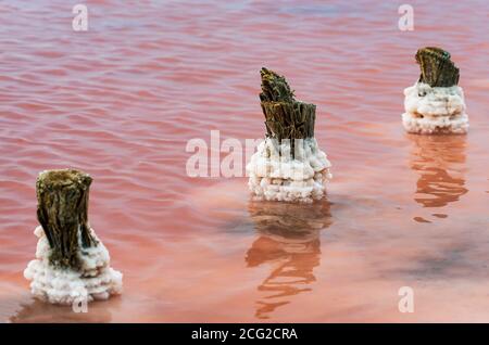 Schöner rosa See Sasyk-Sivash im westlichen Teil der Krim-Halbinsel Stockfoto