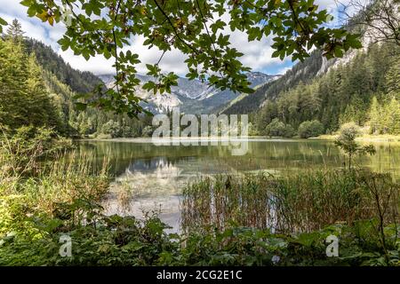 Bergsee alias Dürrsee (Dürrsee) bei Seewiesen in der Steiermark, Österreich Stockfoto