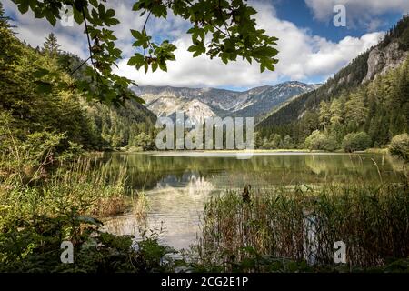 Bergsee alias Dürrsee (Dürrsee) bei Seewiesen in der Steiermark, Österreich Stockfoto