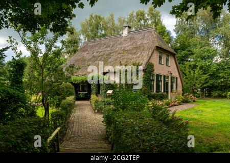 Giethoorn, Niederlande - 28. August 2020: Haus mit Strohdach, umgeben von Bäumen Stockfoto