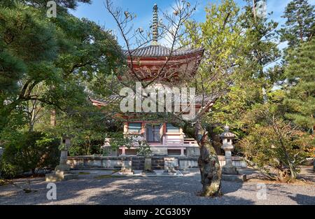 Die Ansicht der Tahoto (Pagode mit vielen Juwelen) mit dem alten gedrehten Kirschbaum (Sakura) im Vordergrund. Chion-in Buddhistischer Tempelkomplex. Higashiya Stockfoto